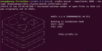 Redis Java客户端-Jedis测试